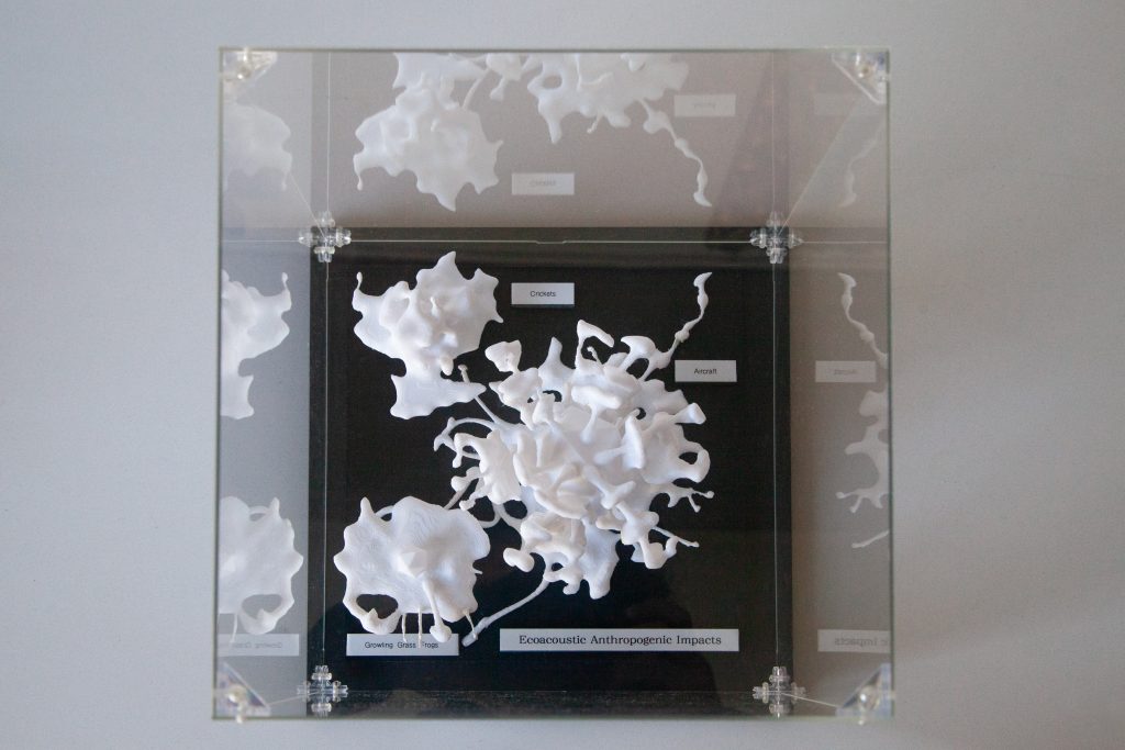Critical Ecological Representations: Ecoacoustic Sound Sculptures